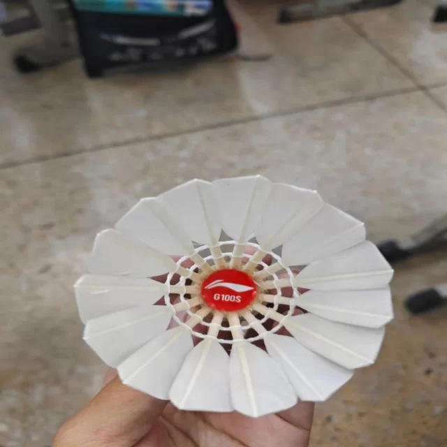 周琦恢复训练展现良好状态